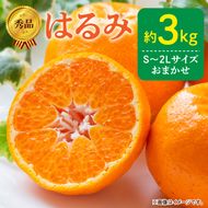 DZ6109_【2027年先行予約】秀品 はるみ 和歌山 有田 S～2Lサイズ 大きさお任せ 約3kg