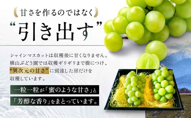 【2026年/令和8年発送＜先行予約＞】特別栽培 減農薬 シャインマスカット 2房 1.2㎏ 先行予約 先行 予約 山梨県産 産地直送 フルーツ 果物 くだもの ぶどう ブドウ 葡萄 シャイン シャインマスカット 新鮮 人気 おすすめ 国産 贈答 ギフト お取り寄せ 甘い 皮ごと 山梨 甲斐市 CF-2