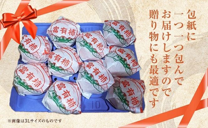 富有柿発祥の地から収穫翌日発送！【贈答用】富有柿 3Lサイズ 10個 | 富有柿 柿 かき カキ ふゆうがき 3Lサイズ フルーツ 果物 贈答 贈答用 プレゼント ギフト 贈り物 秋 秋の味覚 旬 おやつ 人気 産地直送 岐阜 瑞穂市 送料無料 ※2026年11月～発送