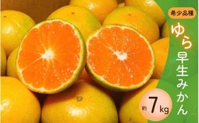 濃厚な味わい ご家庭用 ゆら早生みかん約7kg　サイズ混合【10月より発送】希少品種《有機質肥料100％》※2026年10月～11月より順次発送予定【nuk002F】