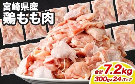 y{茧S璬z{ 300g×24pbN v7.2kgɏo yc1465_kfz {   pbN Ⓚ