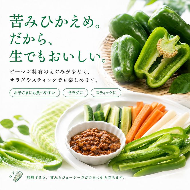 訳ありピーマン 1kg P.SUKE（ピースケ）野菜 新鮮 みずみずしい 肉厚 料理 サラダ スティック野菜 野菜炒め 肉詰め 青椒肉絲 高知県 芸西村