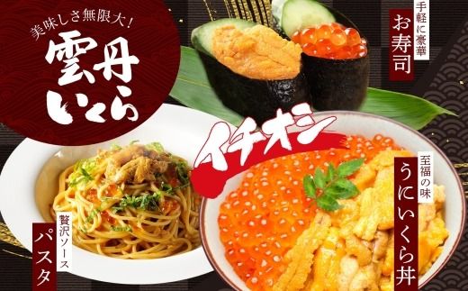 【年内配送 12月14日まで受付】3595.  無地熨斗 うに 100g いくら醤油漬け 200g ウニ チリ産 冷凍 いくら 二色丼 雲丹 イクラ 海鮮 海鮮丼 うに丼 いくら丼 いくら醤油漬け のし 名入れ不可 送料無料 北海道 弟子屈町