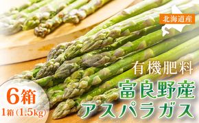 【春野菜 鮮度抜群 】富良野産 アスパラガス サイズ無選別 S～2L混合 1.5kg×6箱｜北海道富良野市 4～5月上旬発送 シャキシャキ食感 贅沢 ギフト プレゼント アスパラ グリーンアスパラ 料理用 業務用 春季限定