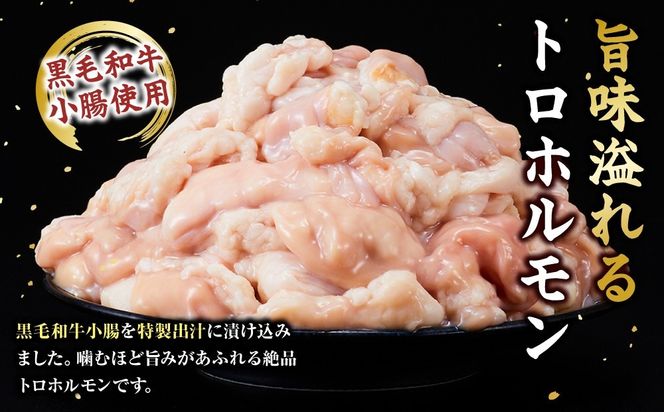 黒毛和牛トロホルモン（小腸）　特製だし1.2kg ( 300g ×4パック )【配送月が選べる】