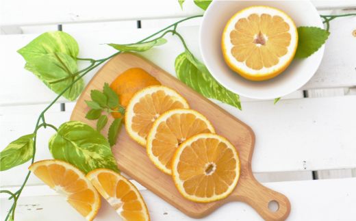 訳あり 紅 河内晩柑 （ S - L サイズ 混合 ） 10kg 7000円 みかん かわちばんかん 愛南ゴールド あいなん ゴールド 美生柑 文旦 グレープフルーツ 和製 幻 の 紅河内晩柑 紅晩柑 希少 家庭用 産地直送 国産 農家直送 糖度 果樹園 期間限定 数量限定 特産品 ゼリー ジュース 人気 限定 さわやか 甘い フルーツ 果物 柑橘 蜜柑 規格外 愛媛県 愛南町 あいなんマザーズ