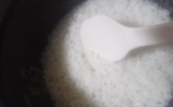 定期便 3回 米 5kg 季節野菜 セット 精米 ゆめつくし お米 詰合せ 上白米 低温保存米 お野菜セット 