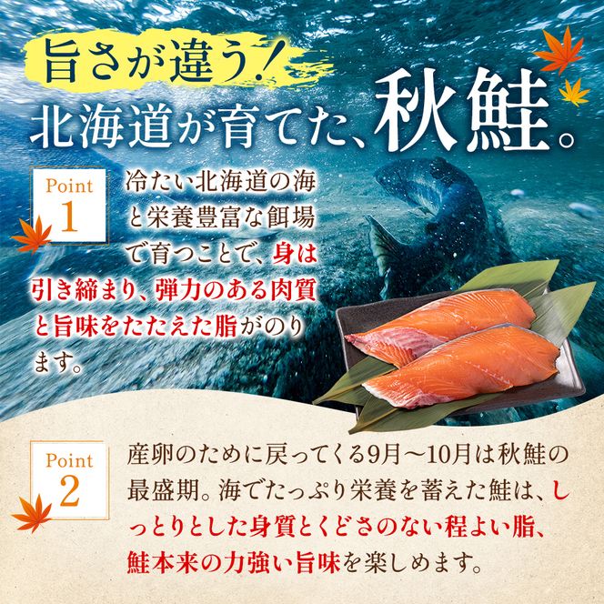 北海道産 秋鮭 山漬け 姿切身  約2.6kg （650g×4パック） [ 鮭 さけ 焼き魚 魚 魚介類 サケ ]