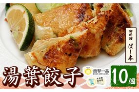 衝撃一品！御料理はし本 湯葉餃子 (計10個) 餃子 ギョーザ 豚肉 牛肉 湯葉 おつまみ おかず お惣菜 冷凍 大分県 佐伯市【AB224】【柳井商店】