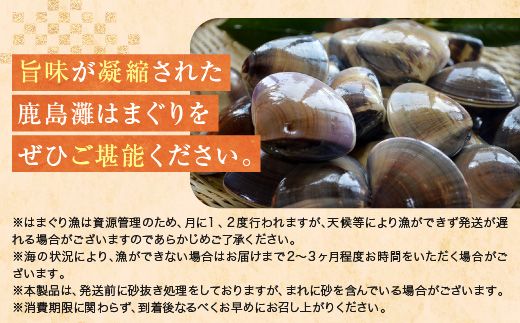 大洗産鹿島灘天然はまぐり 5kg 冷蔵 漁協直送 お吸い物 ハマグリ 蛤 貝 砂抜き処理 魚介類 大洗産 天然 はまぐり