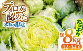 【2026年12月～発送】レタス 約8kg（12〜14玉）/ れたす 野菜 やさい / 南島原市 / 株式会社松尾青果[SGU005]