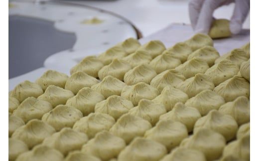 【選べる発送月】御菓子所 川上屋 栗きんとん （秋季限定）10個入り F4N-1065