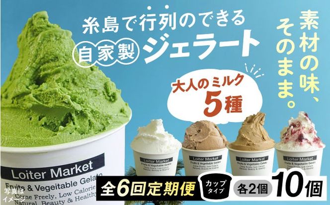 ジェラート アイス 【全6回定期便】糸島で行列のできる アイスクリーム 屋 ジェラート カップ 10個 セット！ 大人の味 5種類 × 各2個 ( ミルク , 抹茶 , ほうじ茶 , カフェオレ , ブルーベリーヨーグルト ) 糸島市 / LoiterMarket ロイターマーケット アイスクリーム [AGD021]