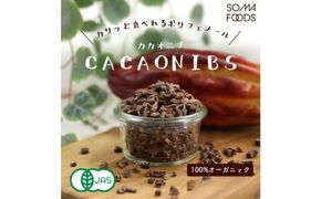 カカオニブ500g×2袋セット 【kw0090-0017】