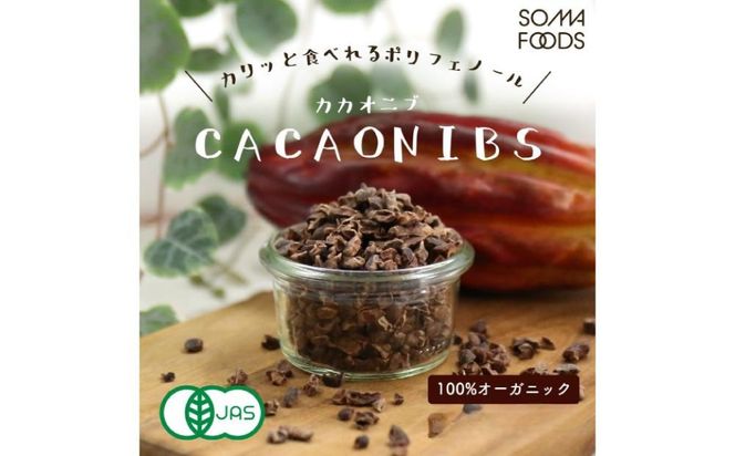 カカオニブ500g×2袋セット 【kw0090-0017】