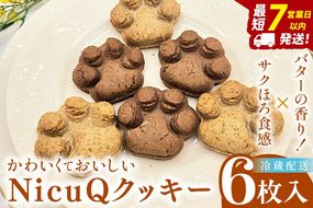 サクほろ食感×バターの香り！かわいくておいしい【NicuQクッキー】【埼玉県　春日部　お菓子　スイーツ　手作り】（DA017）