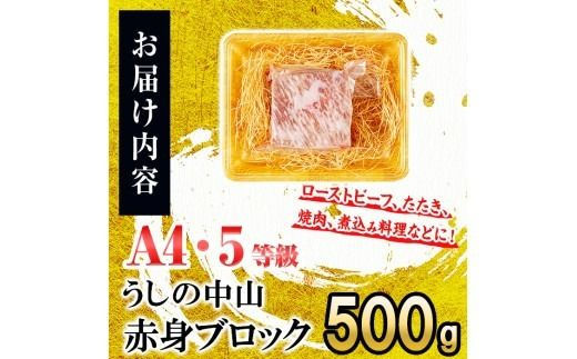 赤身ブロック500g×1P b0-204