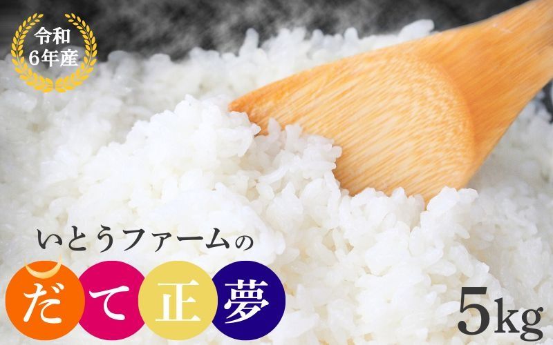 [宮城米の夢をかなえた極良食味品種]いとうファームの 令和6年産 「だて正夢」 5kg / 米 お米 精米 白米 ご飯 産地直送 [itofarm035]