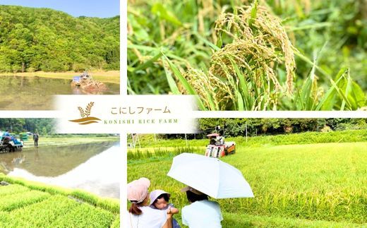 【令和8年産米 先行予約】【香美町産 新米 コシヒカリ 精米 10kg （5kg×2袋）】【令和8年9月下旬以降発送予定】 常温 米 こしひかり 安心 安全 粒立ち 格別 ふっくら もちもち 食感 香り 甘み 豊か 冷めても美味しい ふるさと納税 おすすめ 返礼品 ランキング 兵庫県 香美町 こにしファーム 80-01