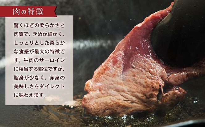 エゾシカ肉【ロース】ブロック約800g～1kg 北海道 南富良野町 エゾシカ 鹿肉 鹿 ブロック肉 ロース肉 お肉 焼肉 しゃぶしゃぶ ステーキ カツレツ 