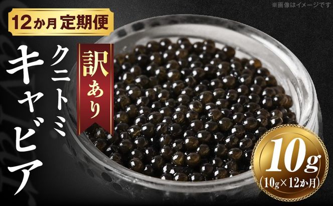 【訳あり】12か月定期便 クニトミキャビア 10g_a0426_mc