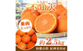 【先行予約】紀州 有田産 不知火 (しらぬひ) 2.5kg /みかん 不知火 和歌山 フルーツ 有田 果物 ※2027年2月中旬頃〜3月中旬頃に順次発送予定（お届け日指定不可） ※離島への配送不可 【uot794】