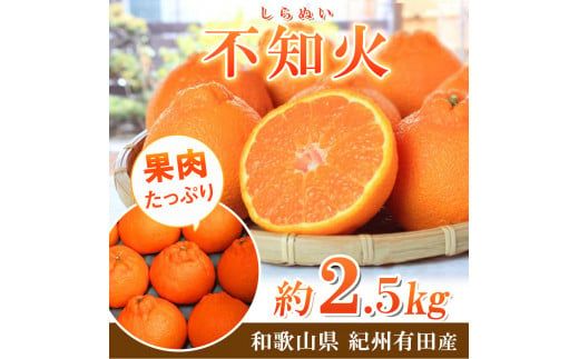 【先行予約】紀州 有田産 不知火 (しらぬひ) 2.5kg /みかん 不知火 和歌山 フルーツ 有田 果物 ※2027年2月中旬頃〜3月中旬頃に順次発送予定（お届け日指定不可） ※離島への配送不可 【uot794】