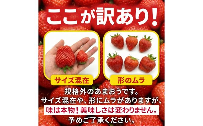 【訳あり】あまおう 4パック いちご 270g×4パック(1.08kg) / 果物 苺 / 糸島市 / 株式会社フルコンス[ALO003]