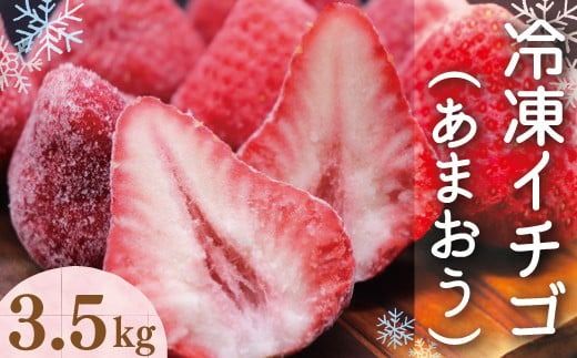 令和6年産 冷凍イチゴ3.5kg（あまおう）先行予約2024年4月以降順次発送　VZ002