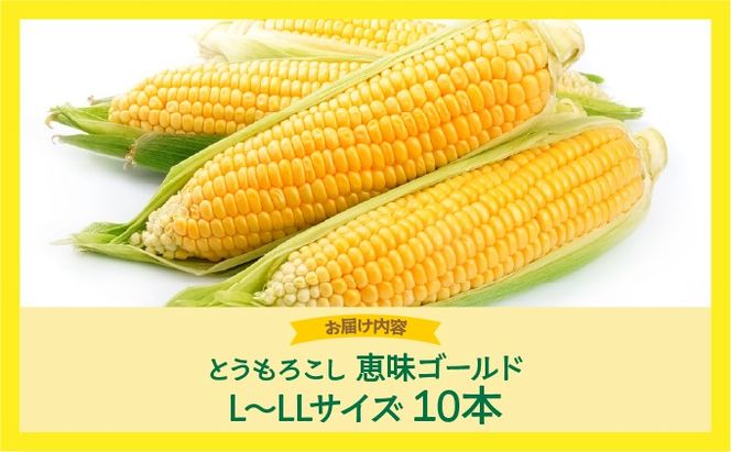 やまけんや とうもろこし 恵味ゴールド 10本 スイートコーン コーン 甘い サラダ スープ 生でも美味しい 産地直送 BBQ とうきび 国産 人気 バーベキュー 焼きとうもろこし 取り寄せ 糖度 北海道 伊達市