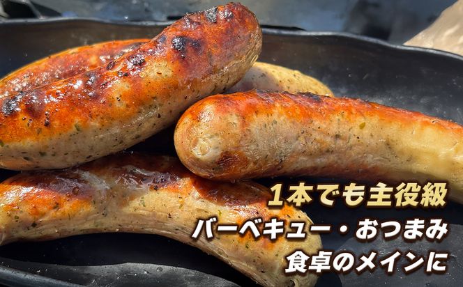 生ポークソーセージ　100g×15本入り　[冷凍食品 豚肉 特大]