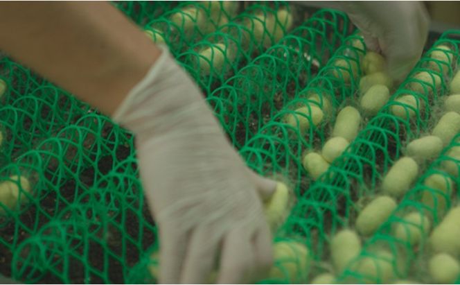 《絹生活研究所》基礎化粧品セット スキンケア 美容 化粧水 美容液 クリーム UV 日焼け止め シルク 繭 敏感肌 子ども 