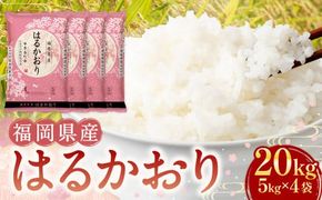 【令和6年産】福岡県産米 はるかおり 精米 20kg ／ ふるさと納税限定 ふるさと納税限定品 お米 米 白米 食品 ご飯 飯 九州 福岡県 香春町