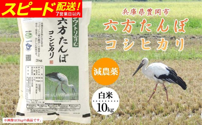 新米 六方たんぼ コシヒカリ 減農薬（白米：10kg）令和8年産 / 米 お米 精米 コシヒカリ コウノトリ育む農法