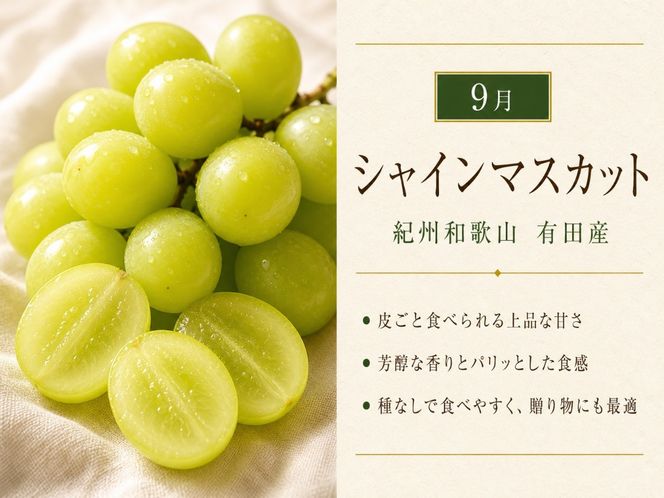 【8・9・12月 全3回】紀州和歌山産旬のフルーツセット（巨峰・シャインマスカット・みかん） 定期便 AN051