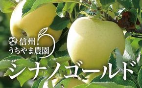 シャキシャキして味が濃い『シナノゴールド』 約3kg (約7～9玉) 《信州うちやま農園》■2025年発送■※10月中旬頃～11月中旬頃まで順次発送予定