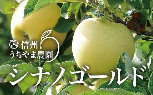 シャキシャキして味が濃い『シナノゴールド』 約5kg (約12～16玉) 《信州うちやま農園》■2025年発送■※10月中旬頃～11月中旬頃まで順次発送予定