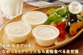 【C3-029】なめらかAタイプ×もち麦粒 食べる生甘酒『発酵!あまざけ食』