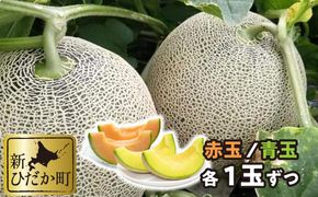 ＜ 2027年7月下旬より発送開始 ＞ 北海道産 メロン 赤肉 青肉 各1玉 食べ比べ セット ＜ 予約受付 ＞