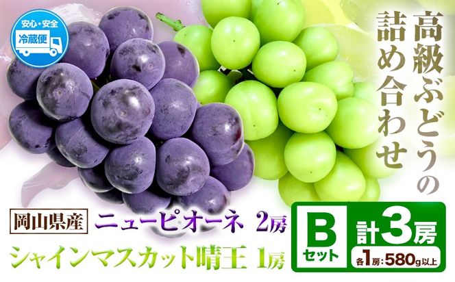 岡山県産ニューピオーネ＆シャインマスカット「晴王」 Bセット （1房580g以上）先行受付《9月上旬-10月下旬頃》【配送不可地域あり】---H-86---