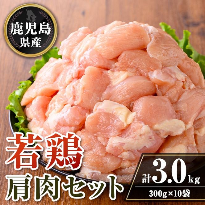 yɍszisa724 Y {Zbg (v3kgE300g×10) Y  ^pbN {   󏭕 g ē Ⓚ yTRINITYz