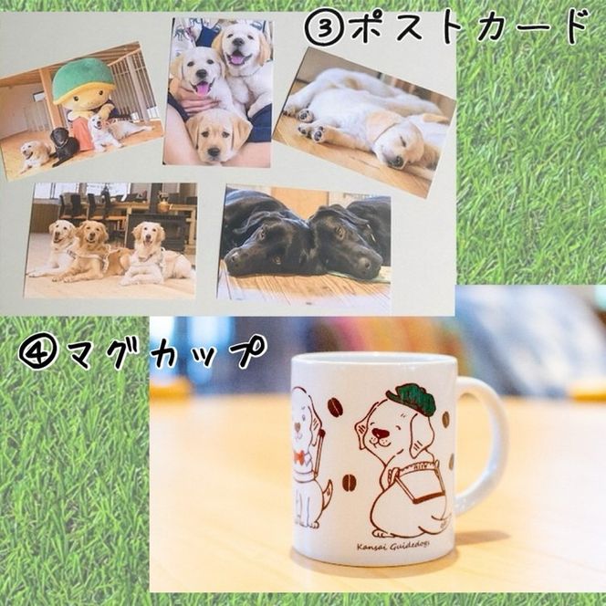 【返礼品相当額で盲導犬の育成を支援】支援額30,000円(記念品あり)エコバッグなど盲導犬協会オリジナルグッズ進呈[行きたい場所に安心していける社会に…]