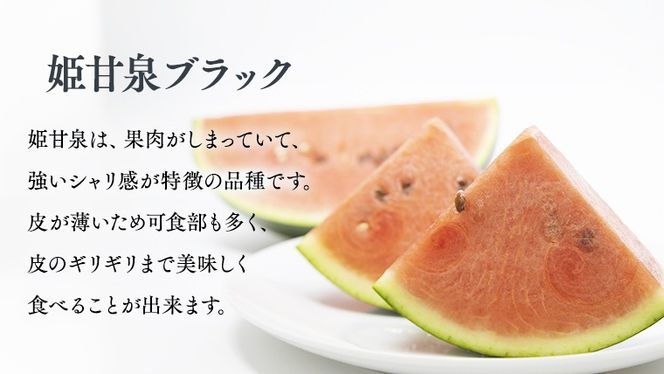 【 令和8年産 】【 先行予約 】小玉 スイカ 姫甘泉ブラック 1箱 2玉入り すいか 黒 西瓜 数量限定 甘い 夏 果物 [CG005ya]