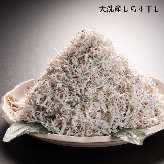 しらす 1kg ちりめん山椒 100g しらす佃煮 100g セット しらす干し 釜揚げしらす ちりめん山椒 しらす佃煮 国産 魚介類