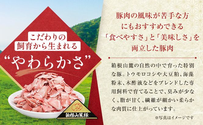 【定期便12ヵ月】箱根山麓豚　モモ・ウデ切り落とし３K盛り(500ｇ×６パック)【 箱根山麓豚 切り落とし 神奈川県 小田原市 】 142069_GC011