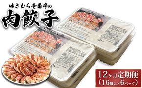 【12ヶ月定期便】ゆきむら壱番亭の肉餃子6パック(96個入り) ※離島への配送不可