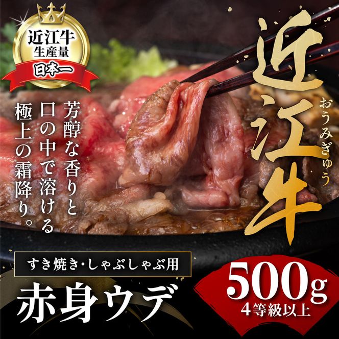 【4等級以上】【近江牛　ウデ】すき焼・しゃぶしゃぶ用【500ｇ】【BI02W】
