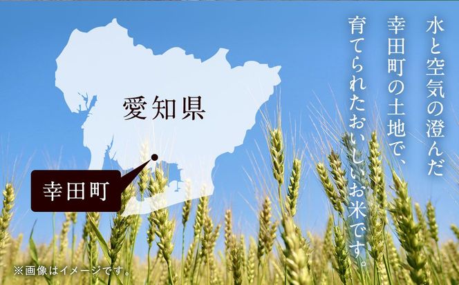 幸田町産「栄養週期栽培米」あいちのかおり 10kg 白米 精米 お米 米 ご飯