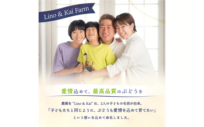【2026年先行予約】 【ご贈答用】 Lino＆Kai Farmのシャインマスカット 1房 （約700～800g） 化粧箱入り / 朝採れ ぶどう 岡山 真庭市 シャインマスカット 高級 ギフト 大粒 果物 贈答 人気 産地直送 国産 数量限定 種なし 【linokai009-02】