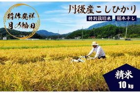 2025年産 京丹後産稲作発祥の地コシヒカリ特別栽培米 月の輪田米 精米10kg（天日干し）　WK00004